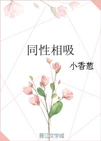 同性相吸txt下载